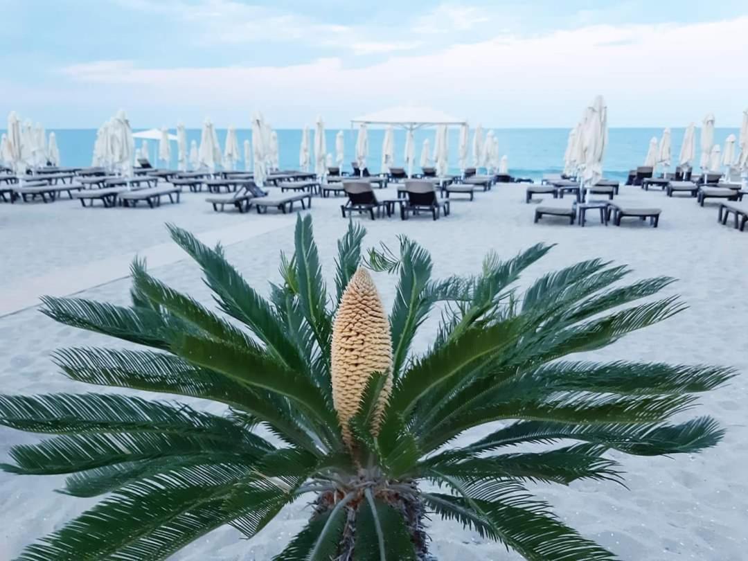 Apartment Raya Obzor Bagian luar foto
